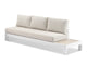 White / Beech