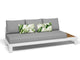 White / Grey Chine