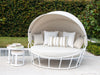White / Beech