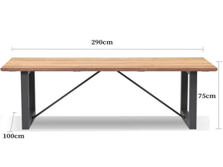 Laguna Table & Twain Teak Arm Chair | Outdoor Dining Setting in White / Mist / 11pc 290cm_8