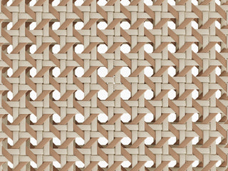 Phil Outdoor Dining Chair in White / Earth Stone / Play Safari 2