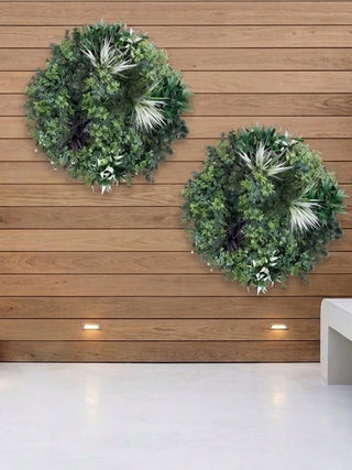 Plants