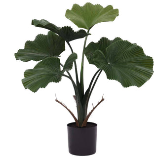 Ruffled Fan Palm Outdoor Artificial Plant.