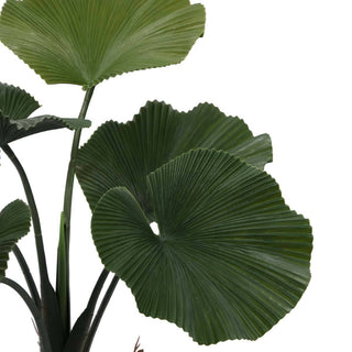 Ruffled Fan Palm Outdoor Artificial Plant 2.