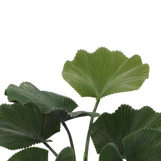 Ruffled Fan Palm Outdoor Artificial Plant 4.