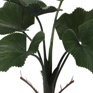 Ruffled Fan Palm Outdoor Artificial Plant 3.