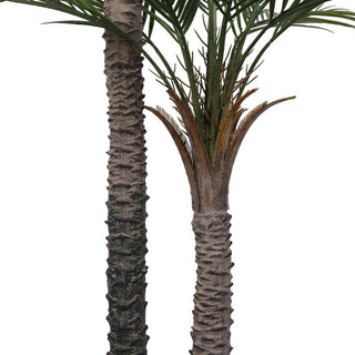 Phoenix Palm Outdoor Artificial Plant 3.