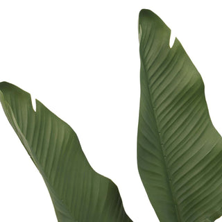 Banana Tree Outdoor Artificial Plant in 140cm 3.