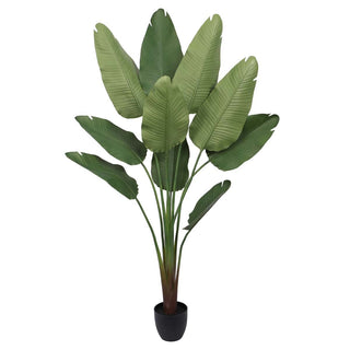 Banana Tree Outdoor Artificial Plant in 180cm 4.