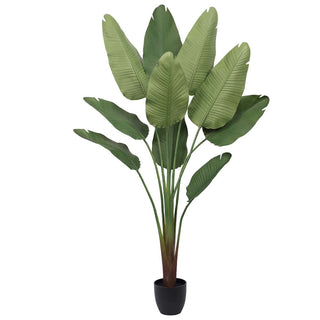 Banana Tree Outdoor Artificial Plant in 180cm