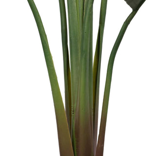 Banana Tree Outdoor Artificial Plant in 180cm 2.