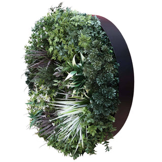 Outdoor Artificial Vertical Garden Wall Disk in Green & White / 60cm 2.