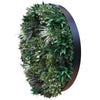Green Eucalyptus