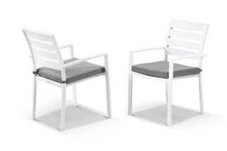 Twain Outdoor Dining Chair Set in White / Mist / Set of 2_2